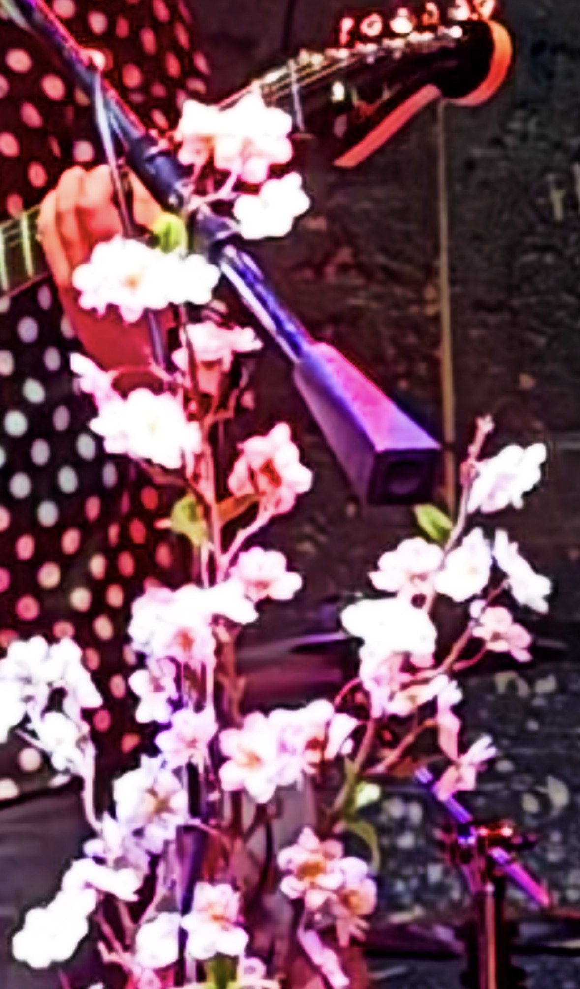 Polka dots and flowers