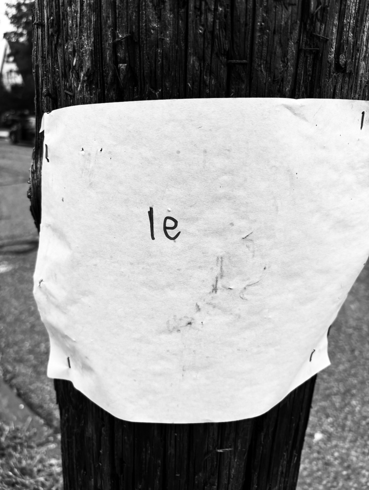 A paper on a telephone pole that says le